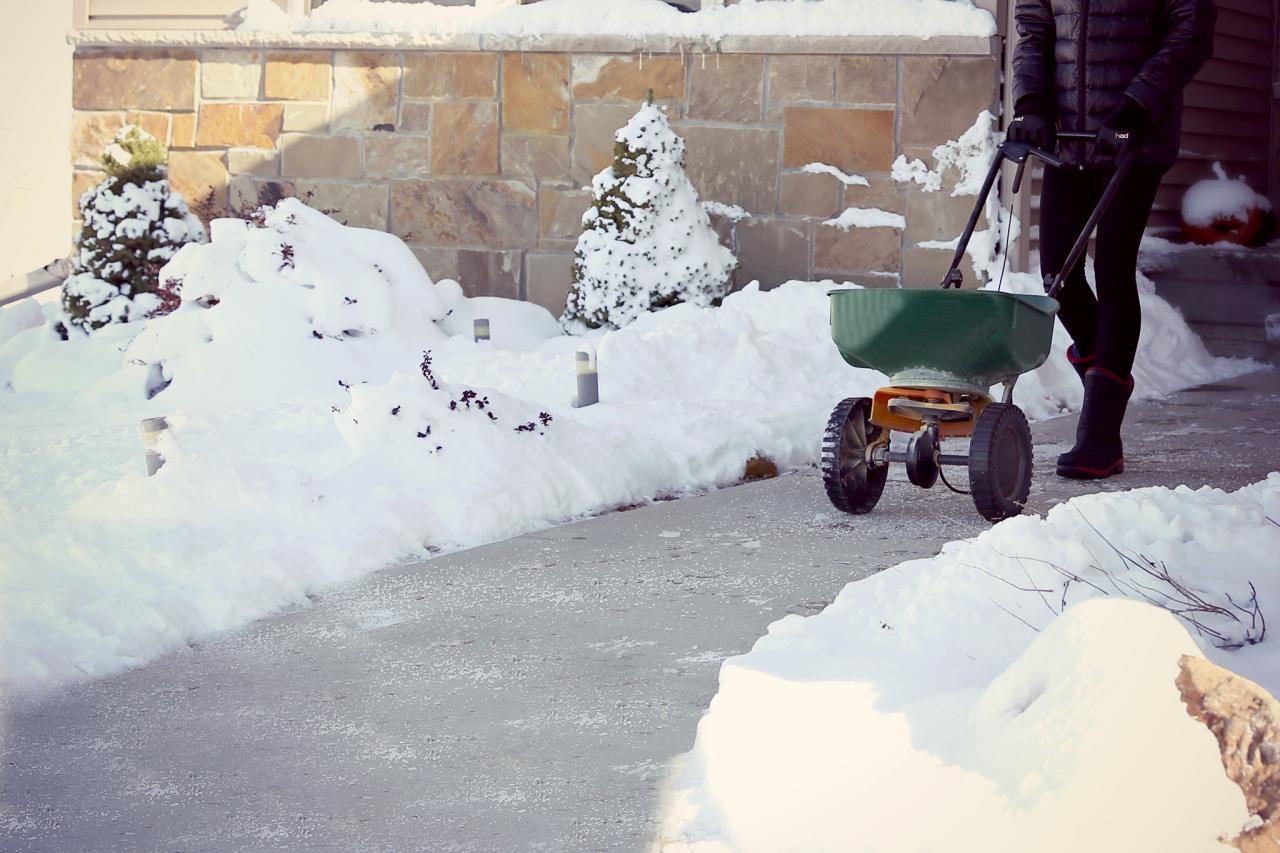Épandage de Sel Biologique